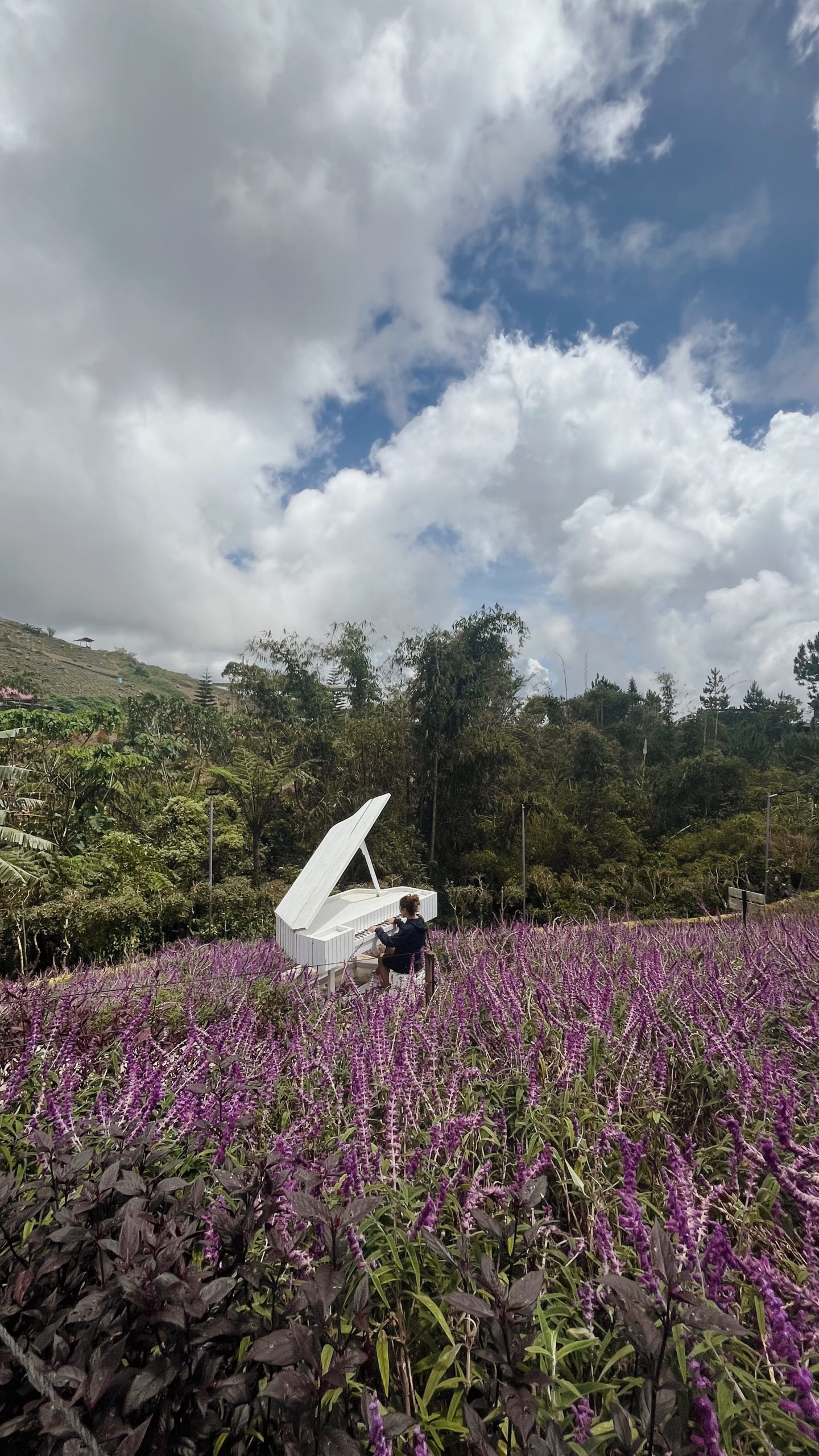 Leaving was easy. Staying gone? Not so much.